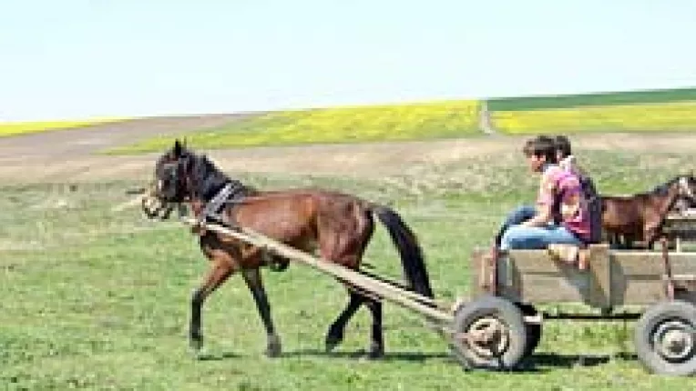 2,6 miliarde de euro, fonduri europene alocate Romaniei