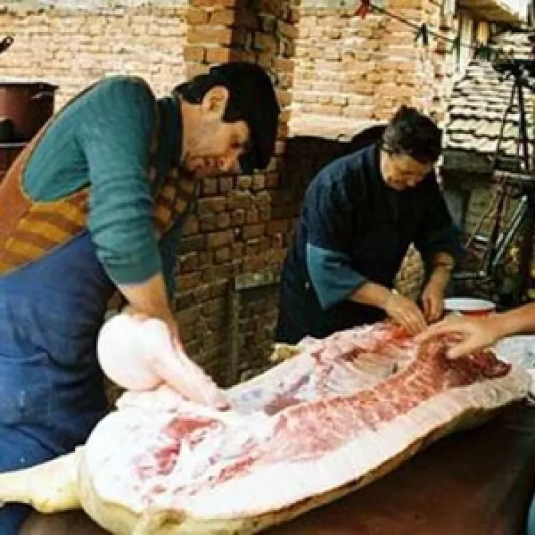 3 euro, sacrificarea unui porc dupa normele europene