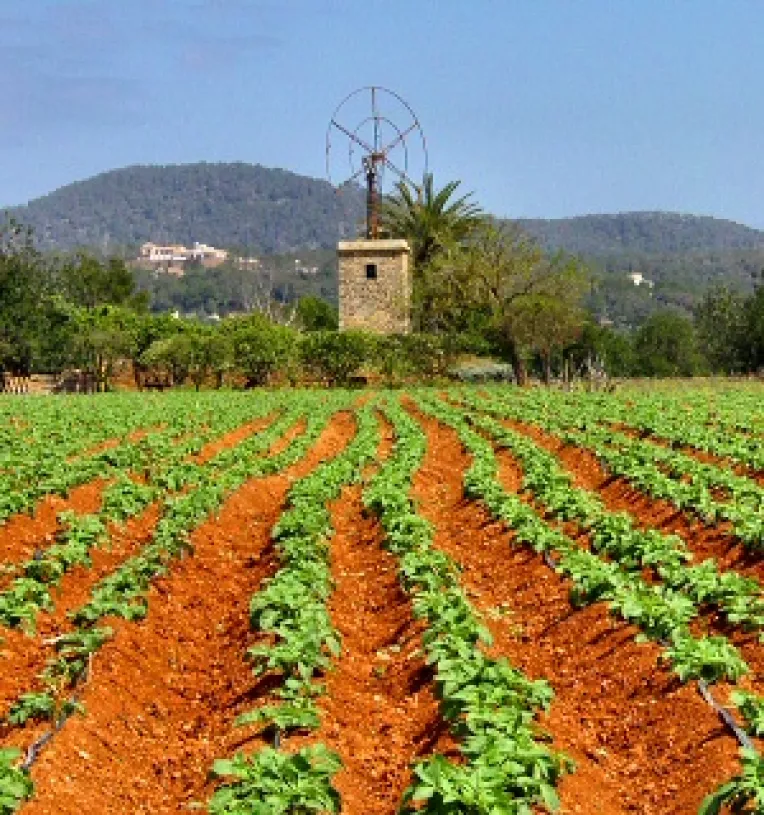 Agricultura a pierdut fondurile UE din lipsa programelor de informare