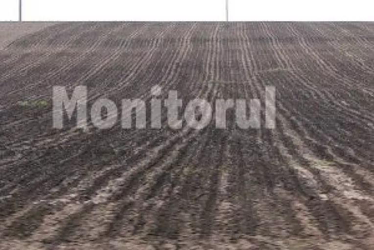 Agricultura, in pragul dezastrului