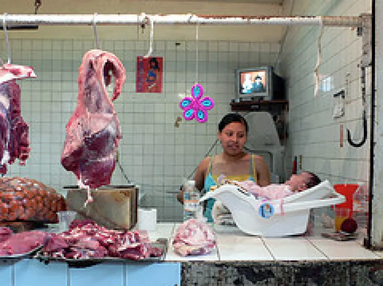 ANSVSA propune peste 10 tipuri de marcare a carnii, fata de o singura stampila folosita in UE