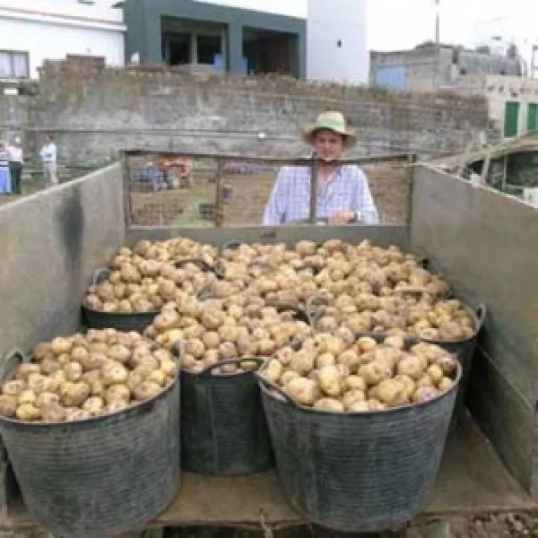 Aproape 70 % dintre agricultori nu pot primi subventii din fonduri UE
