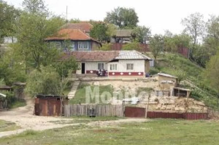 Avize date de neavizati