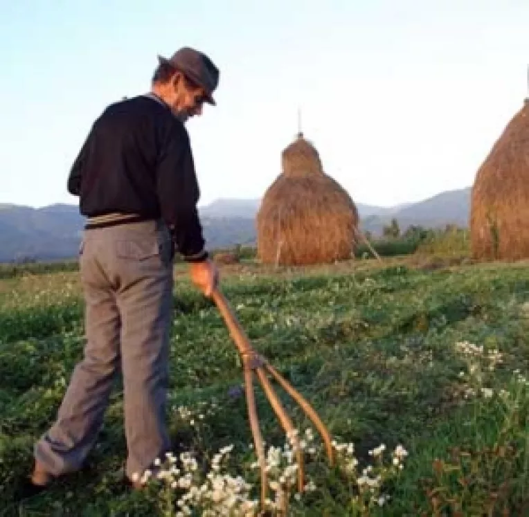 Bani pentru fermierii care vor furniza Uniunii Europene date despre exploatatiile agricole