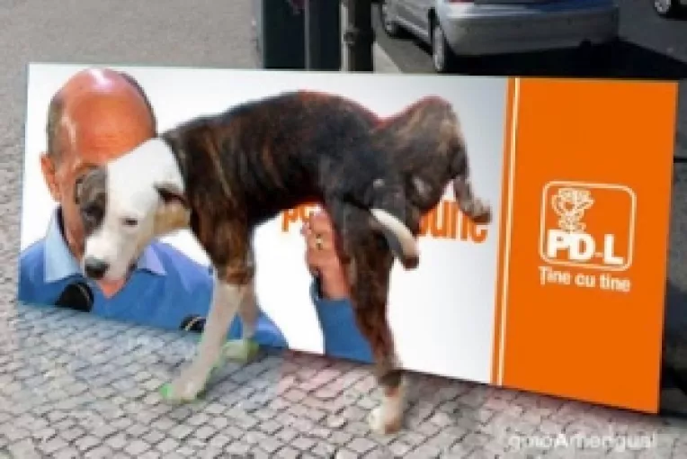 Basescu e vinovat de dezastrul PDL