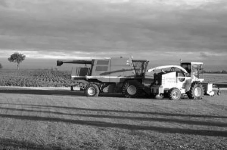 Batalie pe fondurile SAPARD