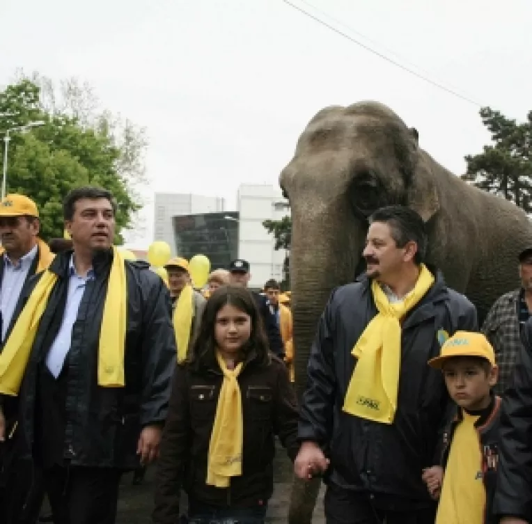 Candidatul PNL pentru Primaria Constanta a aparut cu un elefant inaintea lansarii candidatilor