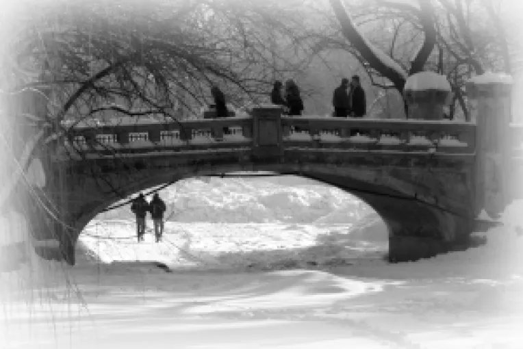 Cel mai armonios parc din Bucuresti : Gradina Cismigiu