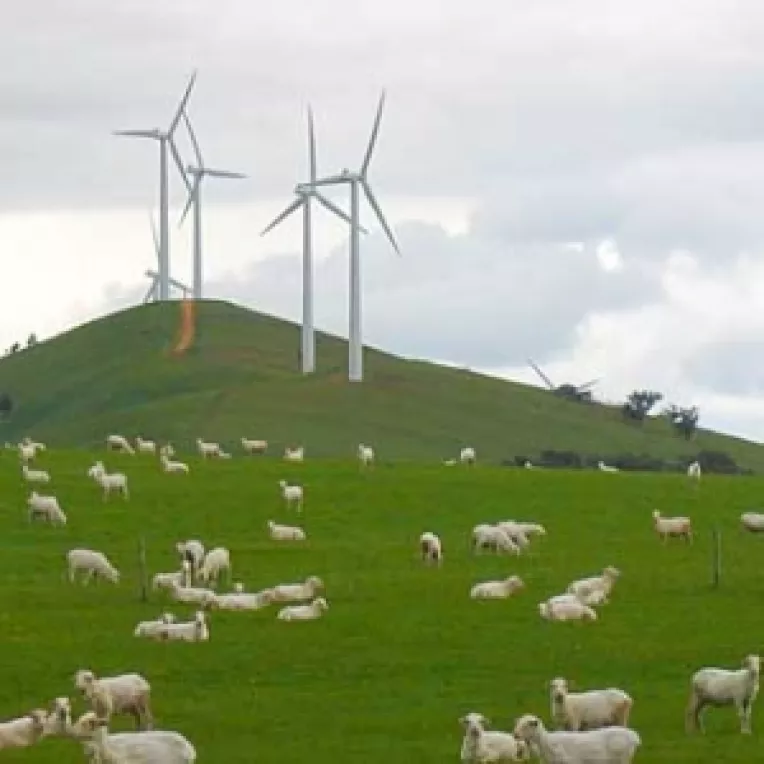 Centrale eoliene in Dobrogea si solare in Delta
