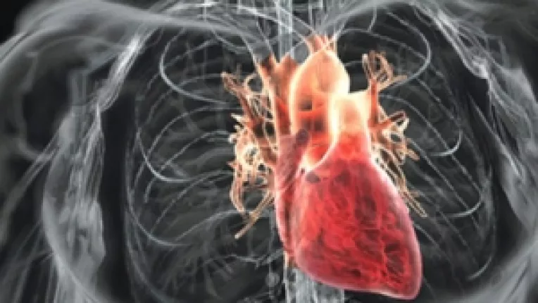 Centrofarm deruleaza campania medicala de prevenire si informare privind bolile cardiovasculare