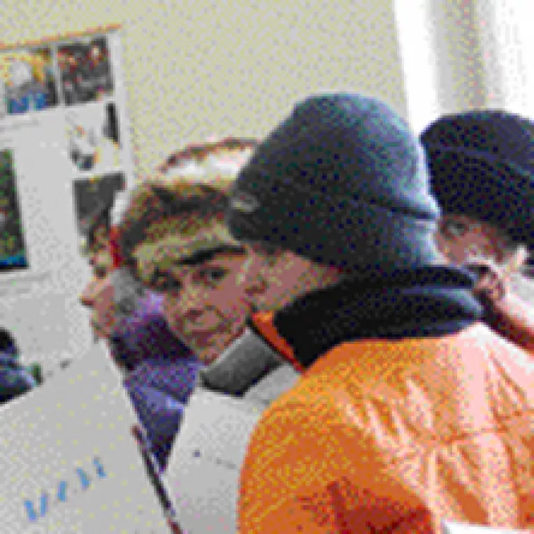 Cheltuielile capsunarilor scad euro la nivelul din 2002