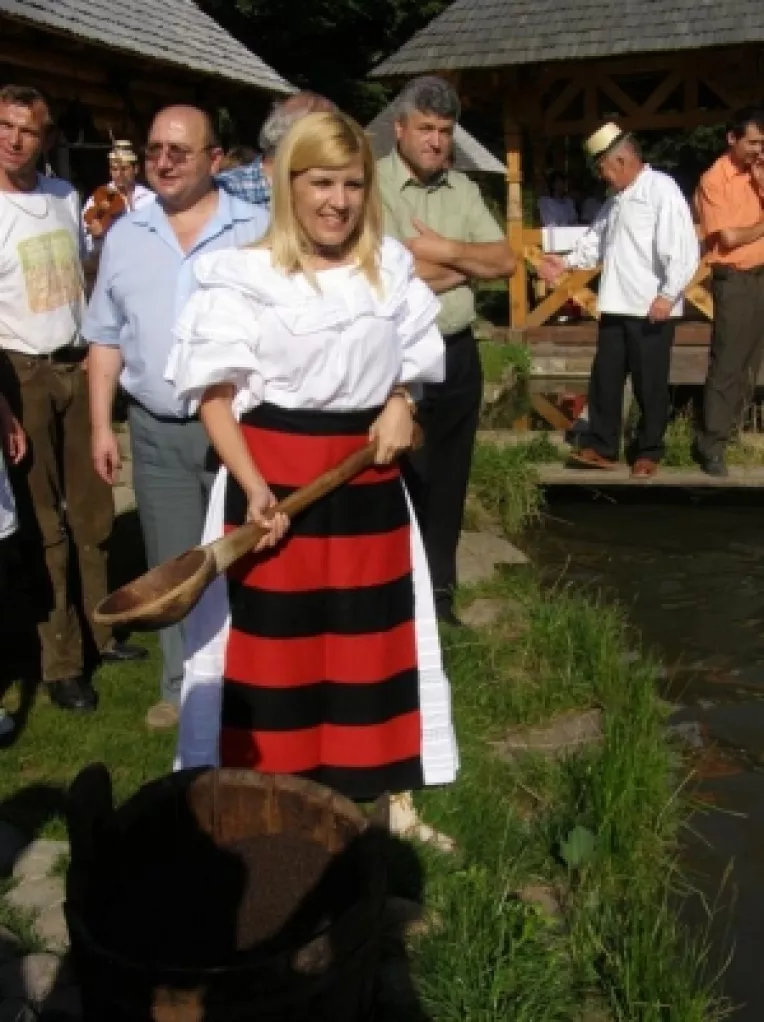 Comisia de ancheta Udrea:  Se apeleaza la experti externi in achizitii publice, publicitate, IT si in domeniul contabil