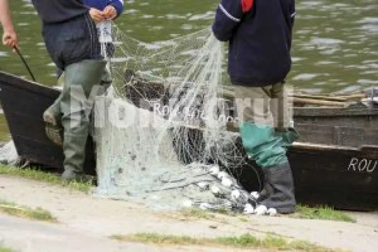 "Compania Nationala trebuie desfiintata"