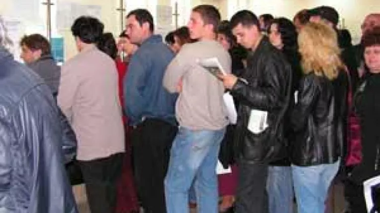 Comportament de functionar public. Stapanul din spatele ghiseului