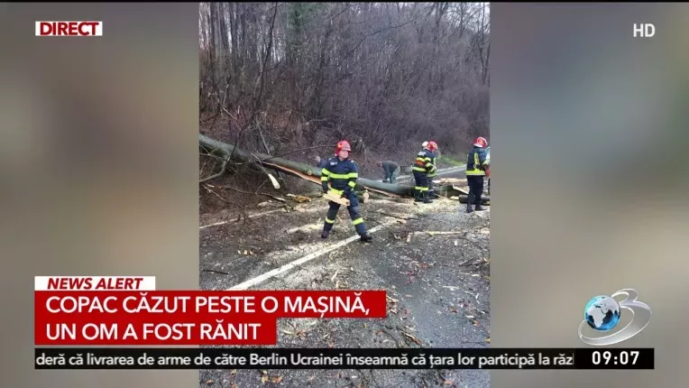 Copac cazut peste o masina aflata in mers, la Sighisoara. Soferul a fost ranit