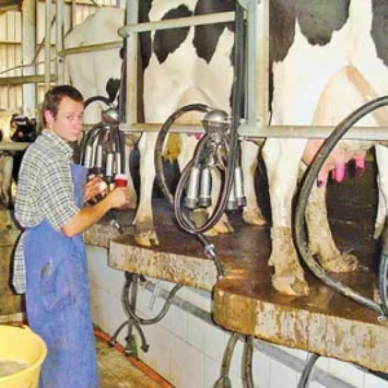 Cota de lapte a fermierilor, suplimentata cu 30.000 de tone
