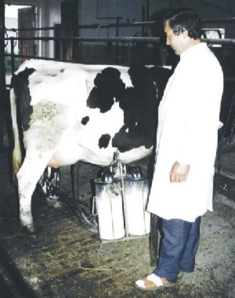 Credite de 100 de mil. de lei pentru producatorii de lapte
