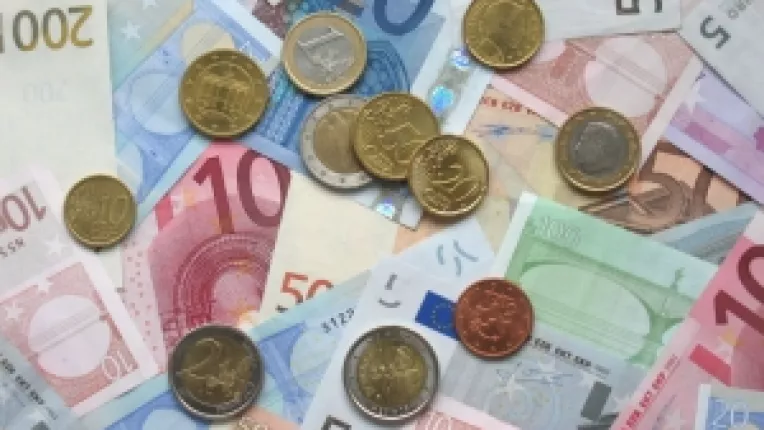 Crestere a preferintei pentru euro in dauna monedei nationale
