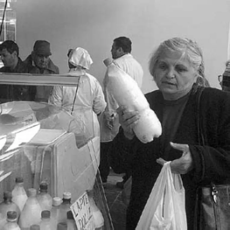 Cresterea productiei de lapte obliga Romania la renegocieri cu UE