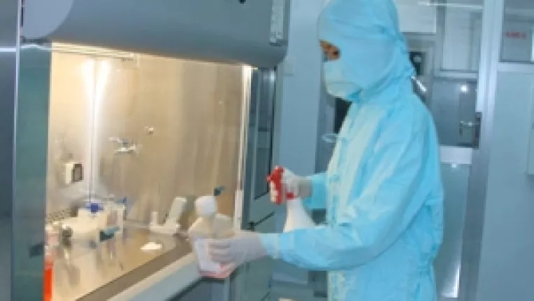 Cryo-Save asigura stocare gratuita a celulelor stem 