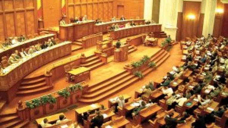 Cu ce "zestre" intra parlamentarii in 2008?