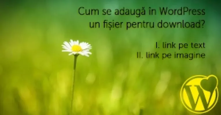 Cum se adauga un fisier pentru download pe un text