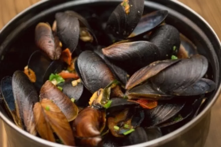 Dana Savuica, innebunita dupa scoicile gatite de Chef Catalin Scarlatescu