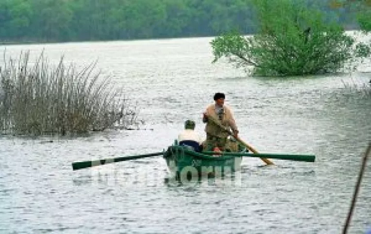 De luni, liber la stiuca