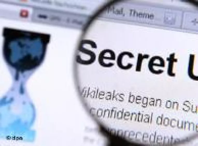 Dezvaluiri WikiLeaks: Multe barfe, fleacuri picante, lucruri incerte sau relatari factuale neierarhizate