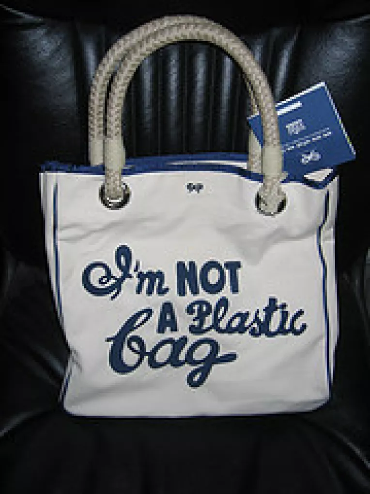 Distribuirea gratuita a pungilor de plastic in magazine va fi interzisa din acest an