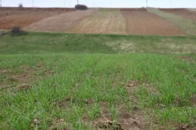 Doljenii renunta la subventia UE