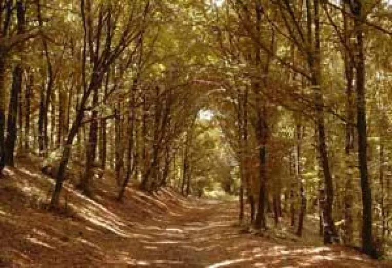 Doljul inverzeste pe banii statului