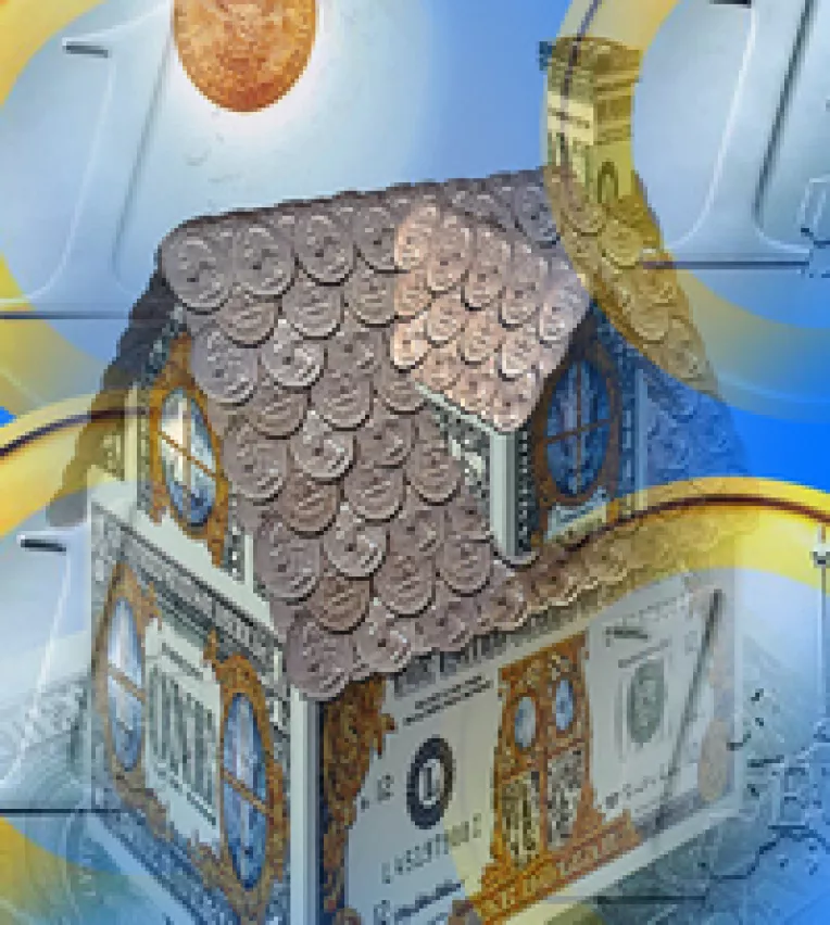 Euro, moneda vedeta a creditelor ipotecare