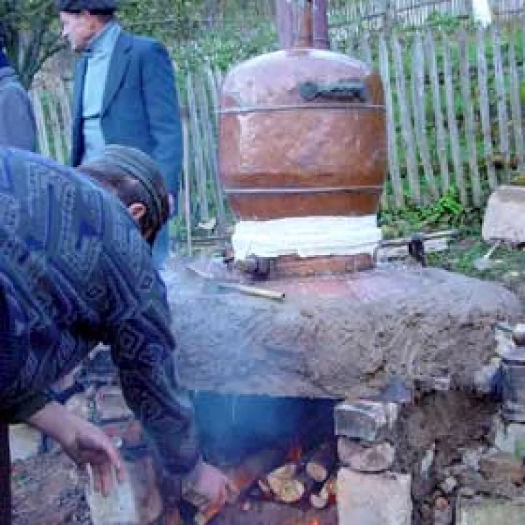 Fara accize pentru tuica produsa pentru autoconsum