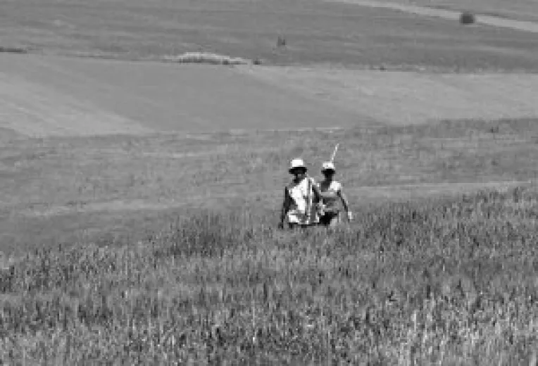 Fermierii, despagubiti si nu prea