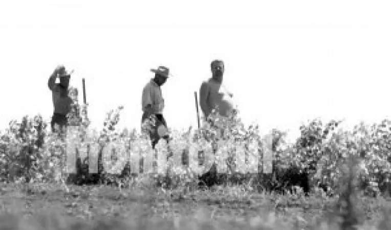 Fermierii galateni au dovedit GPS-urile