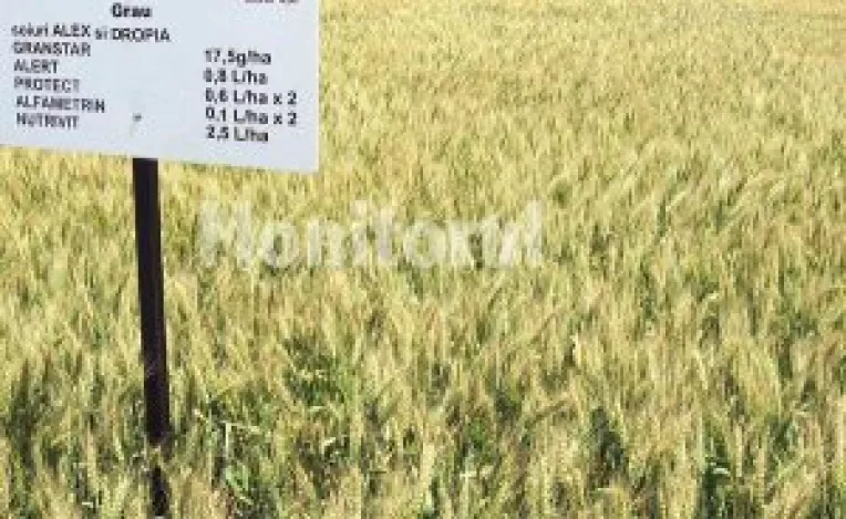 Fermierii pot primi un sprijin de cel mult 16%