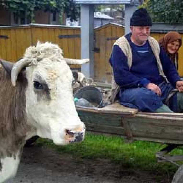 Fermierii trebuie sa depuna proiecte din primavara