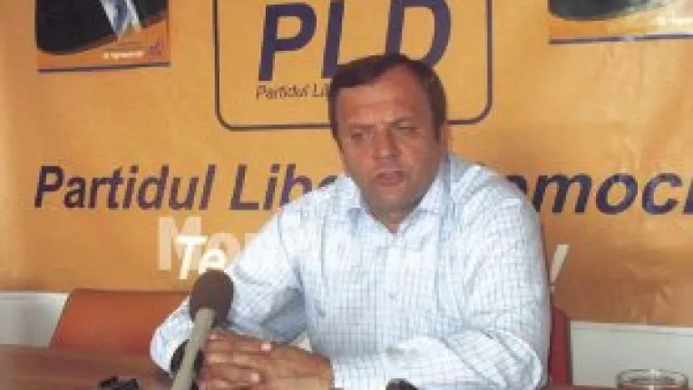 Flutur invinovateste PNL si PSD de intarzierea adoptarii votului uninominal