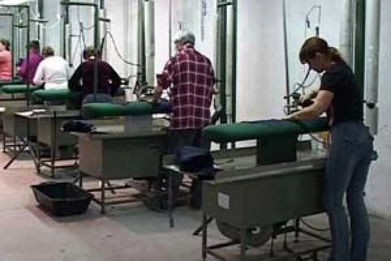 Haine croite cu profit