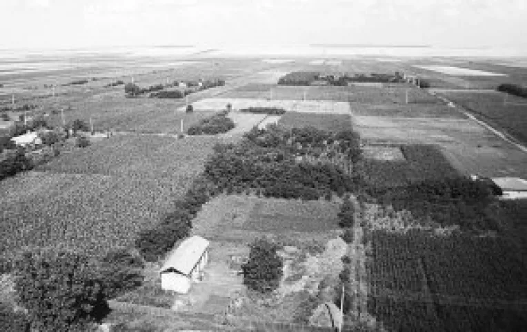 Interesul (imobiliar) poarta fesul