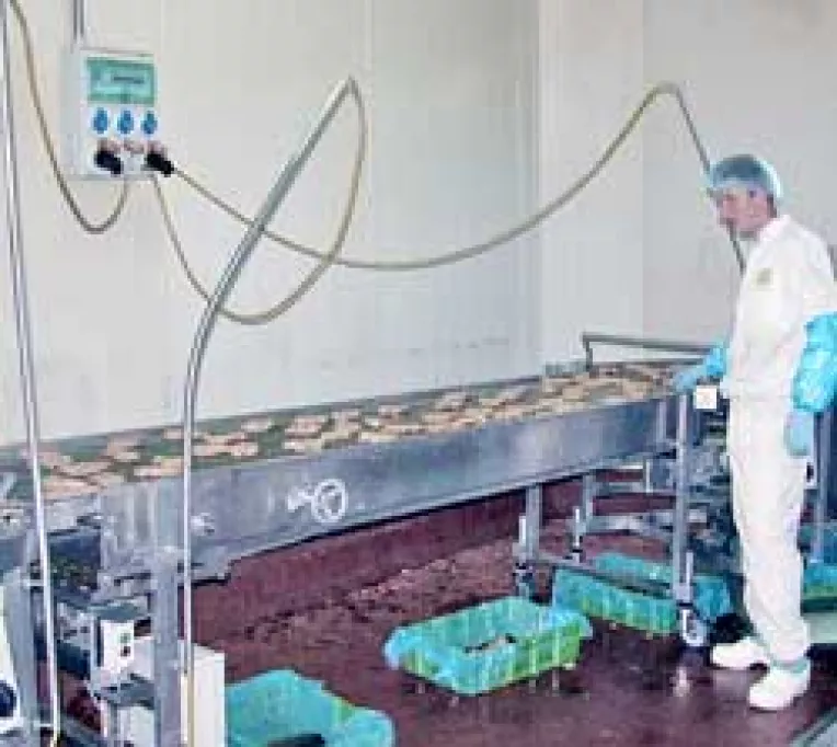 Intreprinderile mici si mijlocii, vulnerabile in noul context al aderarii