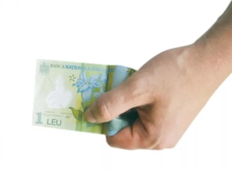 Isarescu crede in puterea leului