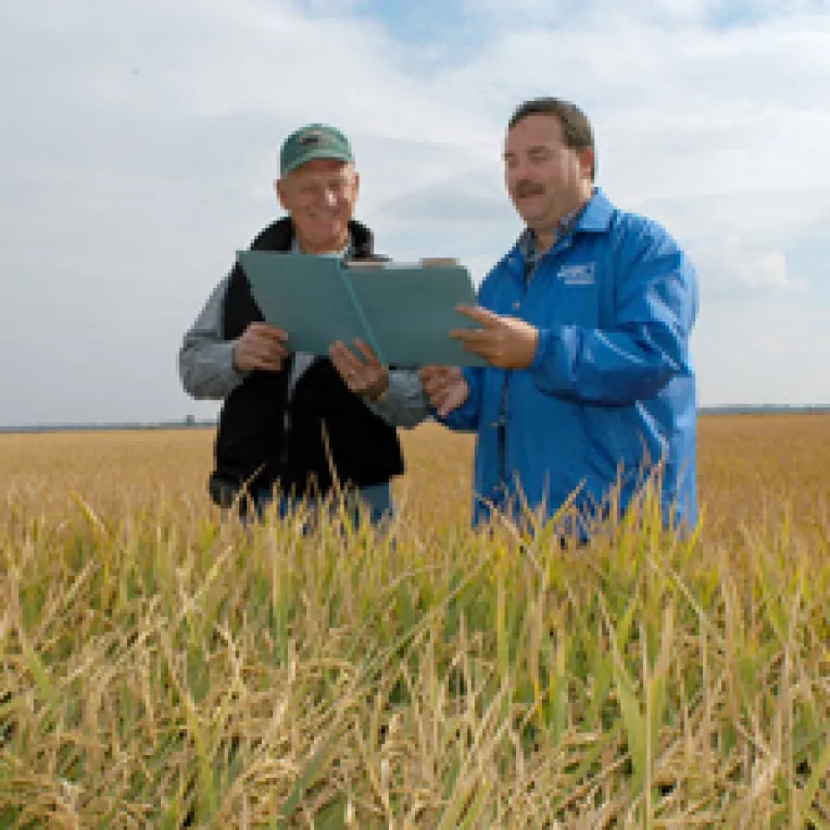 Italienii, nemtii si olandezii s-au facut "fermieri romani" si vor fonduri europene