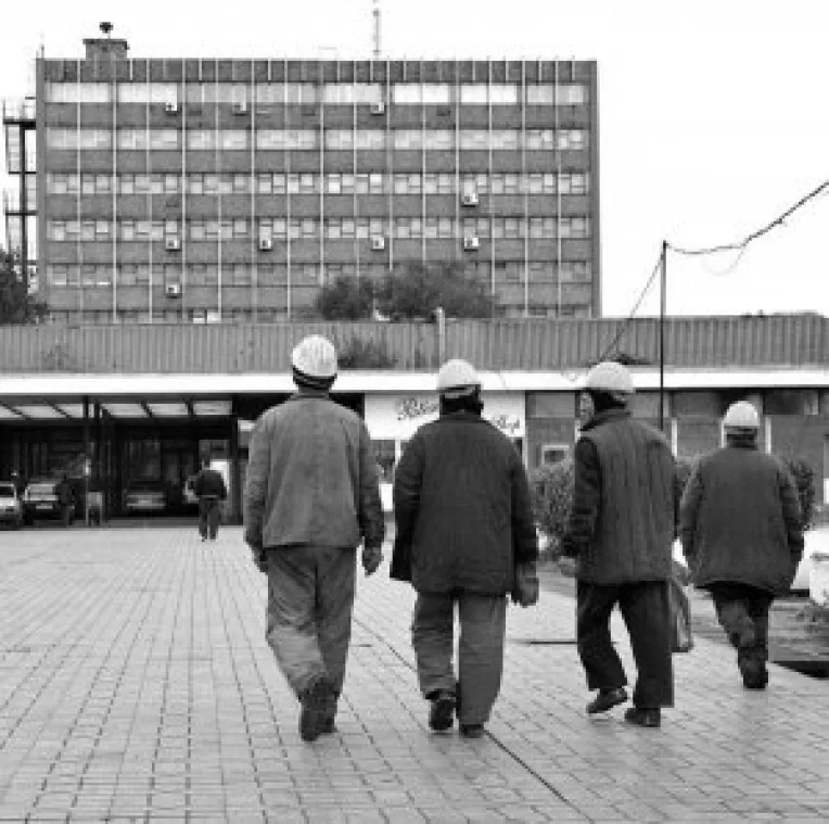 La cheremul conducerii Combinatului!