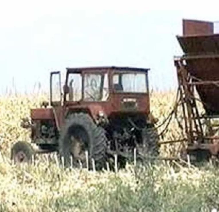 Licitatie-maraton la Agentia de Plati si Interventii in Agricultura