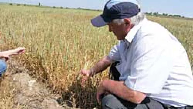 Micile silozuri pot dubla castigurile producatorilor agricoli constanteni