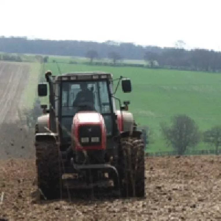 Ministerul Agriculturii nu mai primeste cereri pentru subventionarea culturilor de toamna