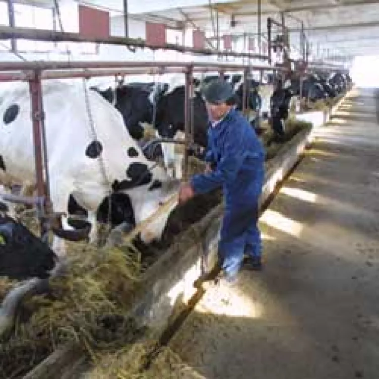 Nu toate cheltuielile fermelor agricole sunt finantate de UE