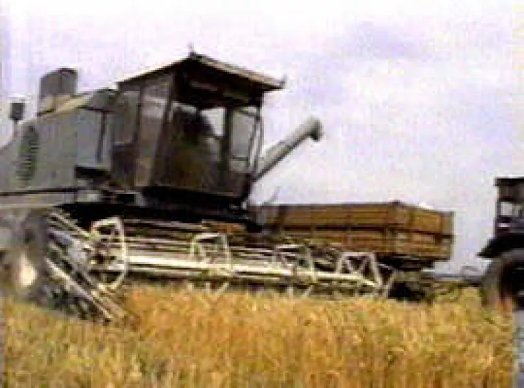 O recolta buna ar putea scadea inflatia